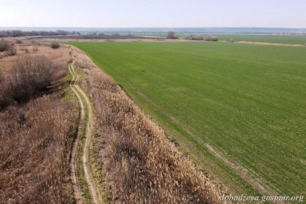 Обследование дамб в Слободзейском районе завершено