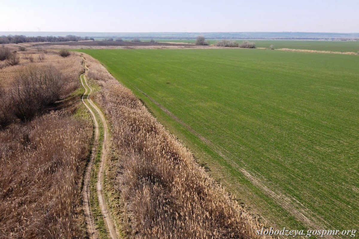 Обследование дамб в Слободзейском районе завершено