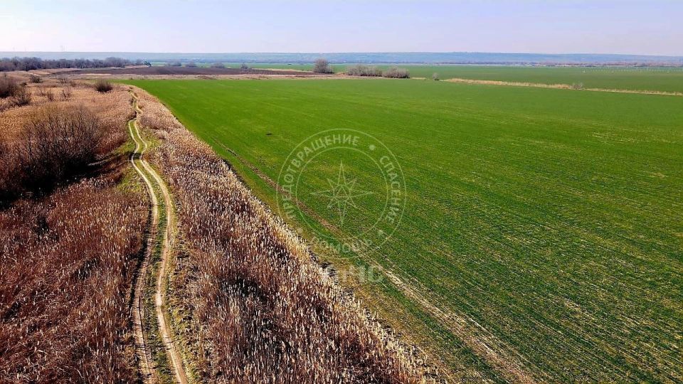 �������� ��������� ����� �������