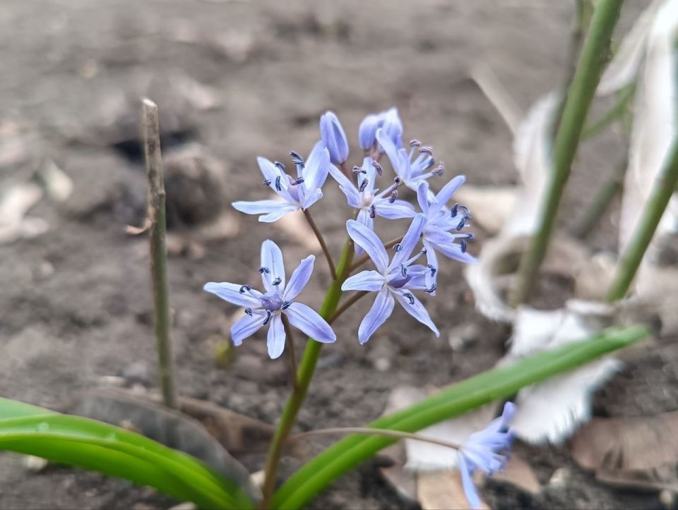 26 ����� ��������� ���������� ����������, ��� �������