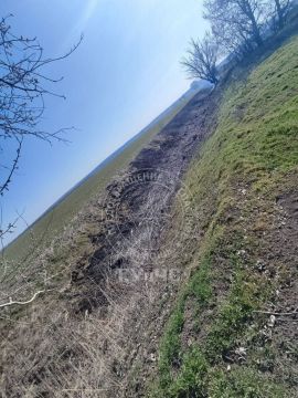 ������� 6 �������� ������. �� ��������� ����� ���� � ���� ������ �������������� ������