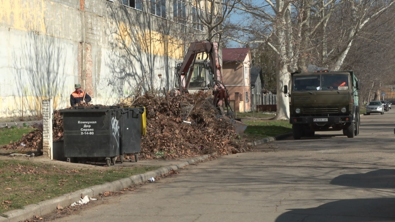 Стихийные свалки растут в Бендерах с началом весенней обрезки насаждений