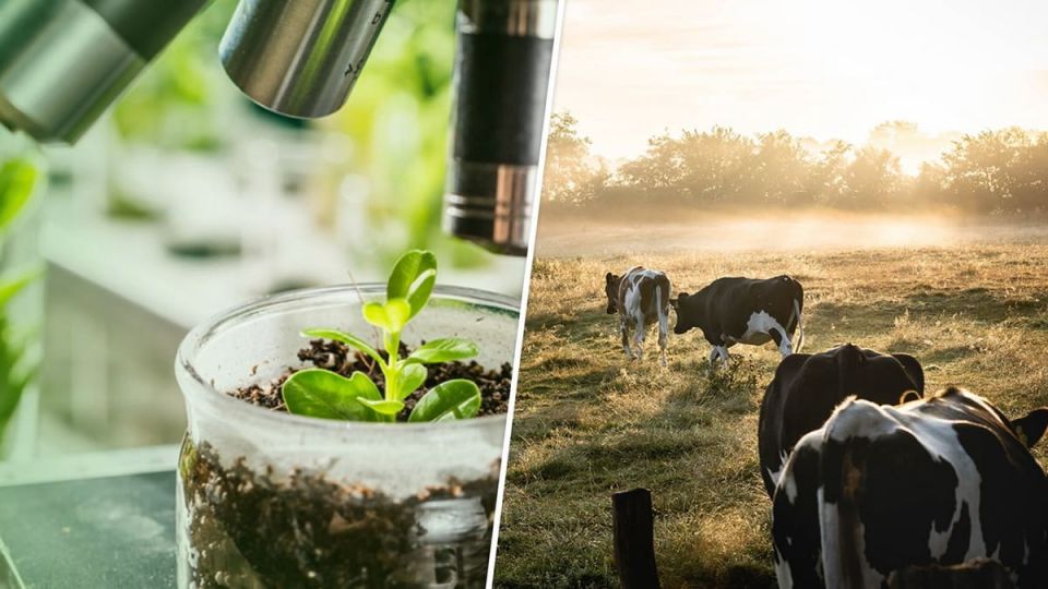 ��������������� � ���������� �������� � ������-������� �������� �������������� � ������������ �������