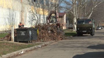 Весной, с началом обрезки зелёных насаждений, в Бендерах обостряется проблема стихийных свалок