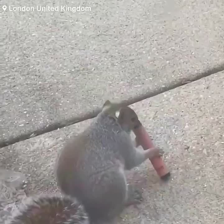 ����� ������� �� ����� � � ���� ��� ������� �����, �� ������� ������� ����� ��� ������� ����������