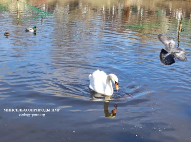 Доброго утра!. Прогноз погоды на сегодня, 26 марта