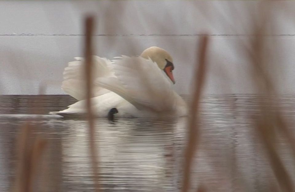 ������� �������� ������. ���������������� ������� �������� ������ � ���� ������� (�. �������) ������������� ������ ���������� �������