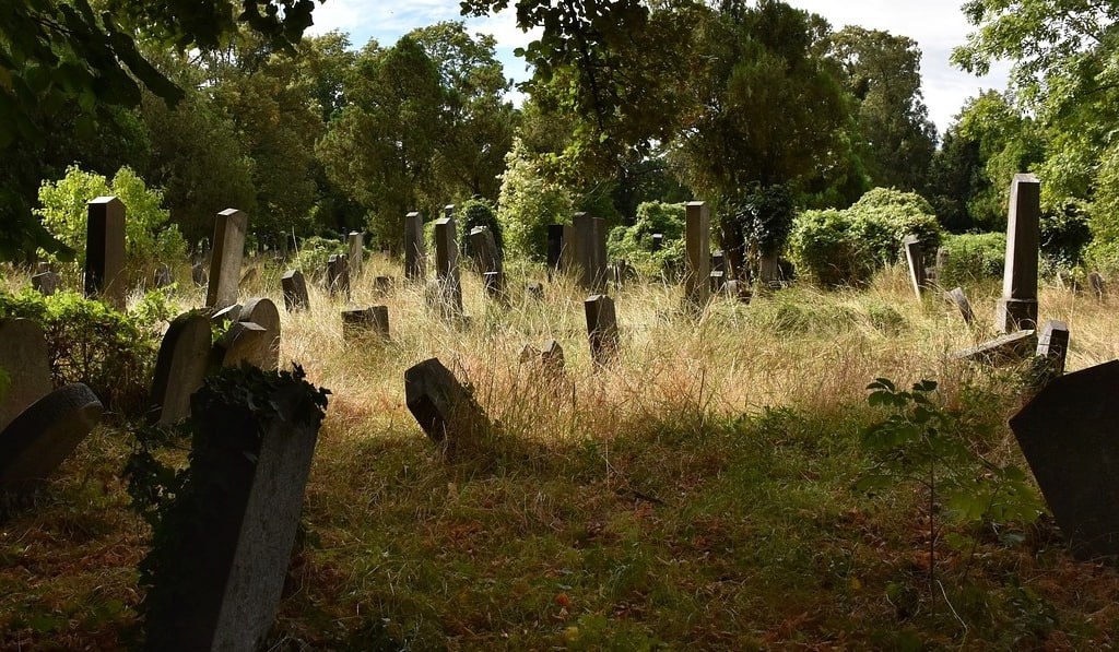 Память, которую нельзя потерять