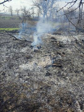 На въезде возле посёлка Маяк Григориопольского района выгорело около 3 гектаров сухостоя