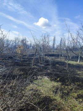 ������� 3 ������� ��������