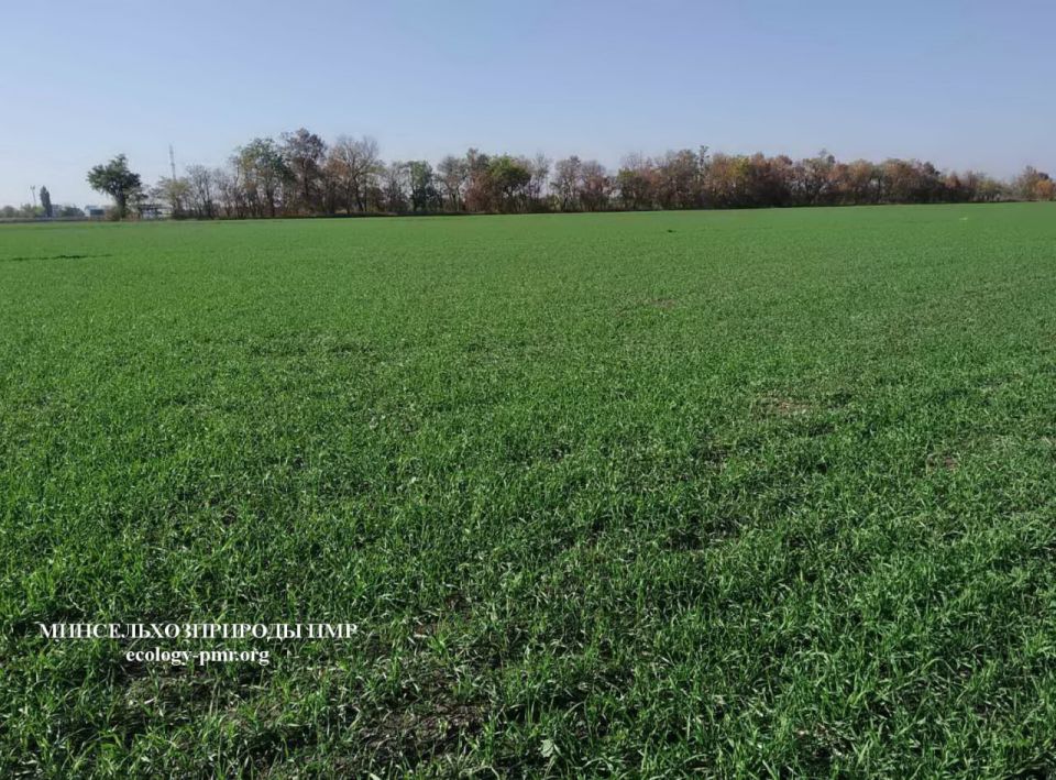 ��������� ������� ������ ������� � ����������� ���������� ���� ������������������