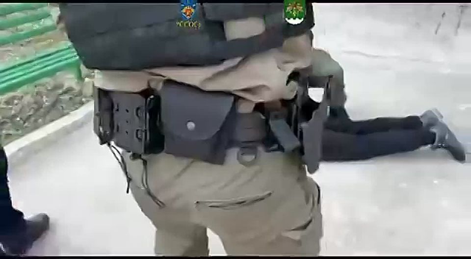 ������� ������� ������������� ���������� ������ ��� ��������� �Car Vertical�