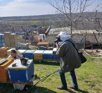 Нашему фотокорреспонденту Виктору Громову у местного пчеловода выдали полный «антижужжащий комплект» — пчеловодческую сетку-вуаль