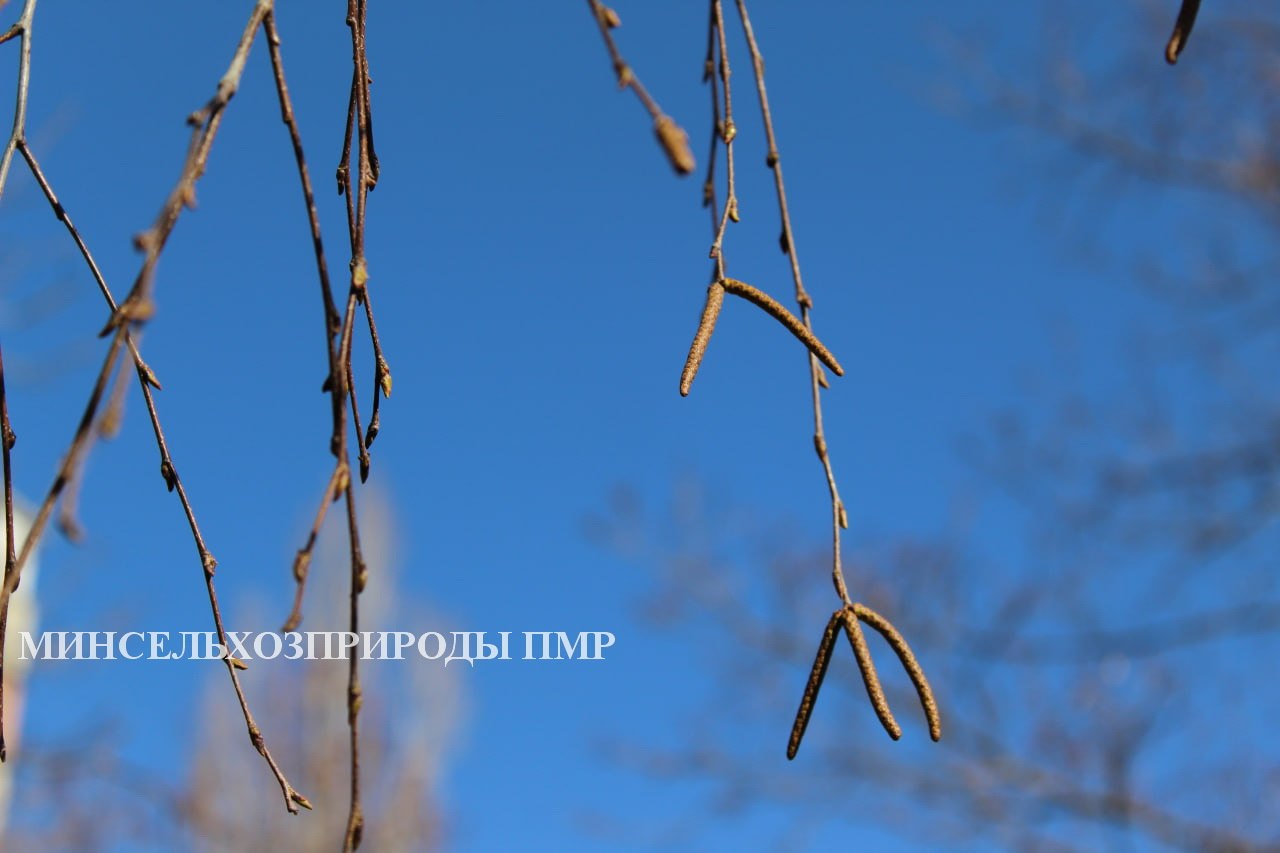 Доброго утра!. Прогноз погоды на сегодня, 27 марта