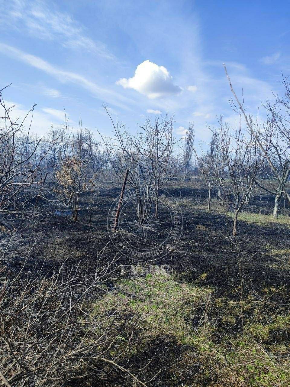 Сгорел сухостой. При въезде в посёлок Маяк Григориопольского района 26 марта днём загорелась сухая трава и мусор на заброшенных огородах