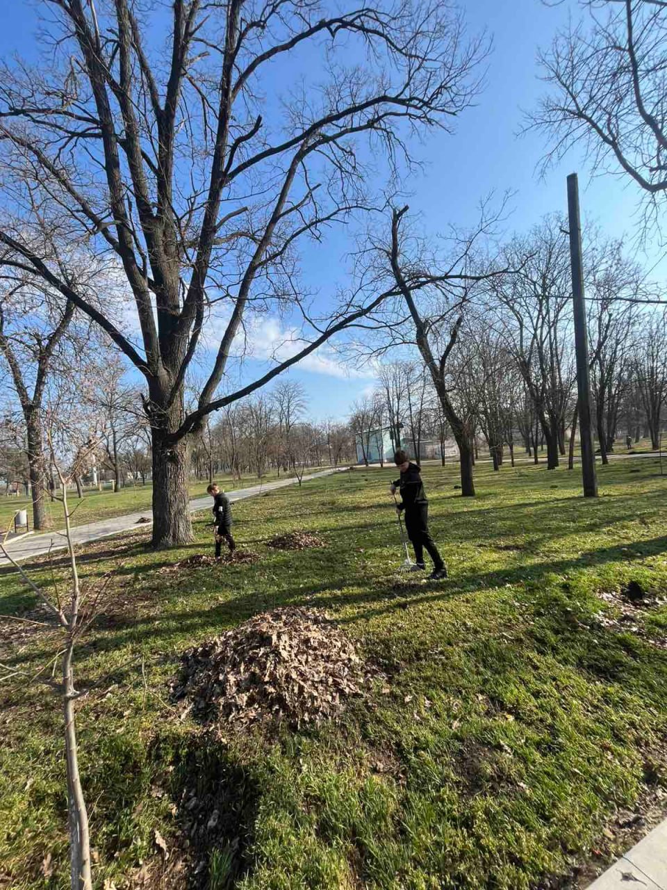 Работы по благоустройству в с. Кицканы прошли в сельском парке, школах, детских садах и Доме культуры