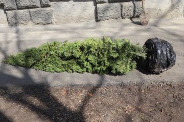 Республиканский субботник в Минздраве