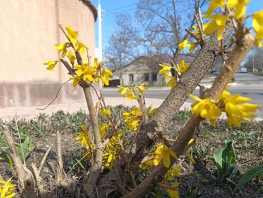 Заметили? Краски весны стали чуть ярче