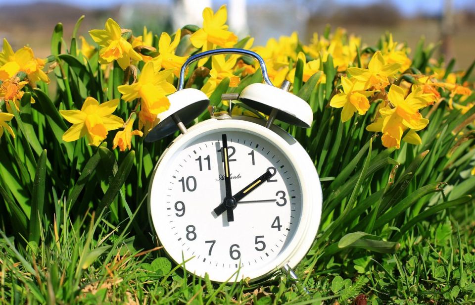 � ��� ���� ������������� ��������� �� ������ �����