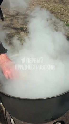 «Вот это рыба! Всё, готово»