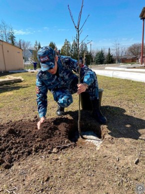 ������������� ������� ���������� ����������� � ��������������� ����������