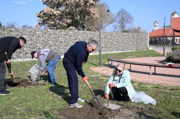 ������� �������������� �������� ������� � ���������� ��������