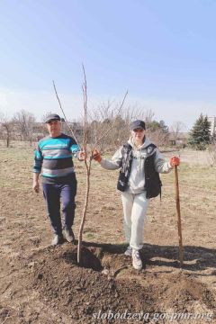 В Первомайске появился новый зелёный уголок