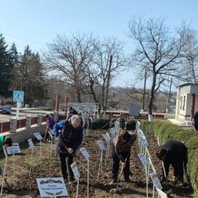 Субботники сегодня прошли и в сёлах района