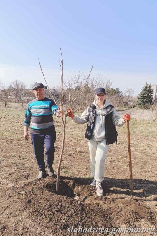 � ����������� �������� ����� ������ ������