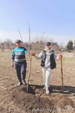 В Первомайске появился новый зелёный уголок