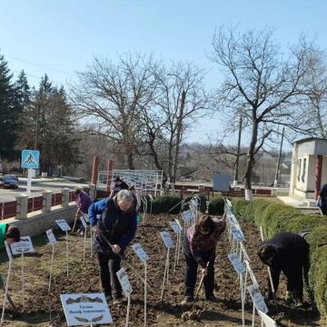 ���������� ������� ������ � � ���� ������