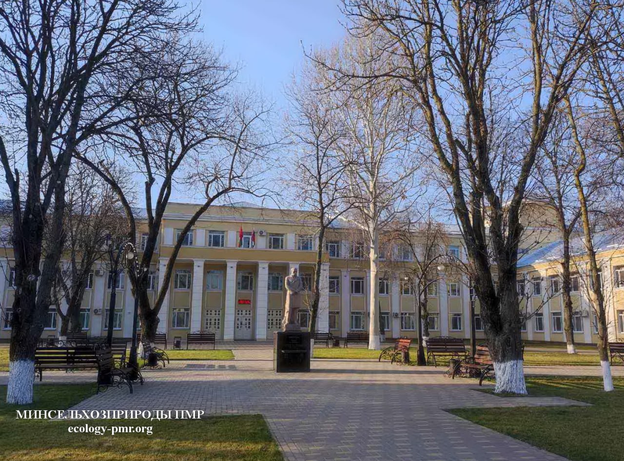 Доброго утра!. Прогноз погоды на сегодня, 28 марта