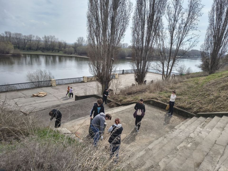 ����� ������ �� ���������� - �������