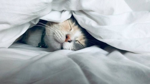 Специалисты советуют ложиться спать раньше в канун перевода часов — это помогает быстрее адаптироваться к новому времени