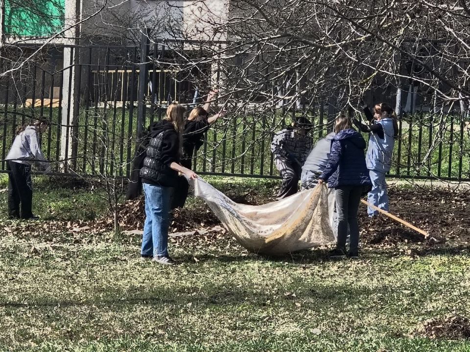 � ������ ��������� ���������� �������������� �������� � �������� ����������� ��������������� ��������