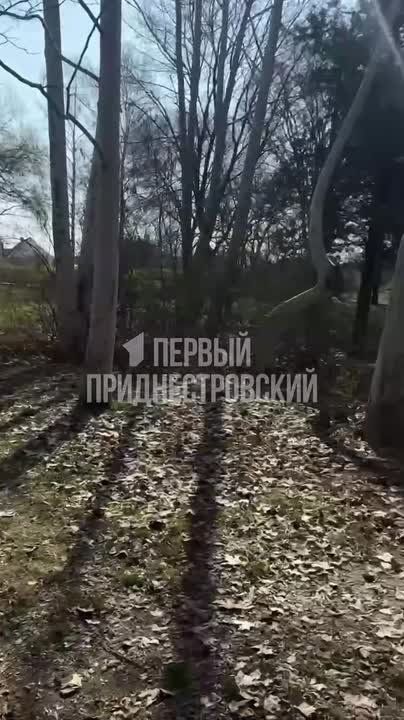 � ����� ��. ������ �������� ��� ���� 90-�