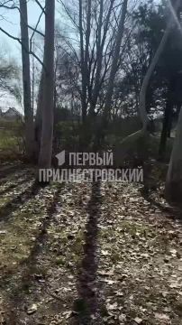 � ����� ��. ������ �������� ��� ���� 90-�