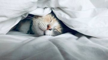 Специалисты советуют ложиться спать раньше в канун перевода часов — это помогает быстрее адаптироваться к новому времени