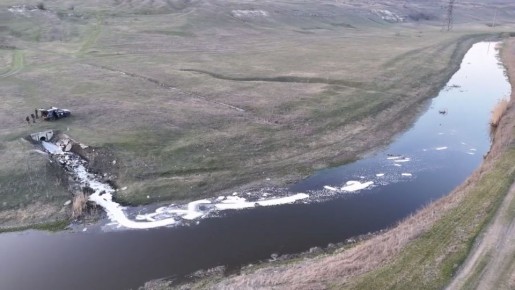 Кишечная палочка, токсичные вещества и превышение нормы аммония в 20 раз