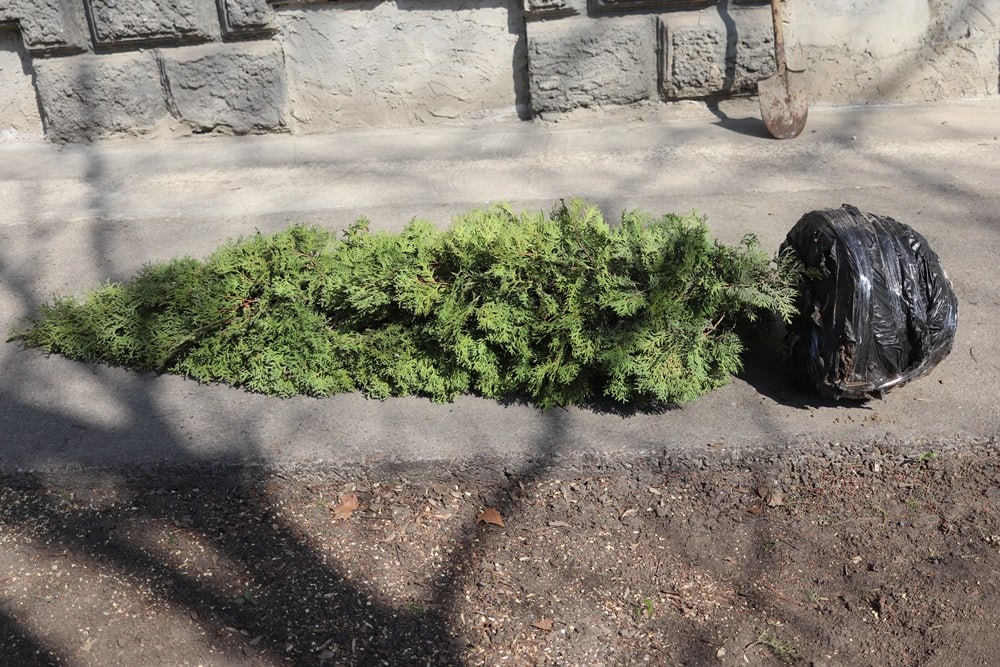 Республиканский субботник в Минздраве