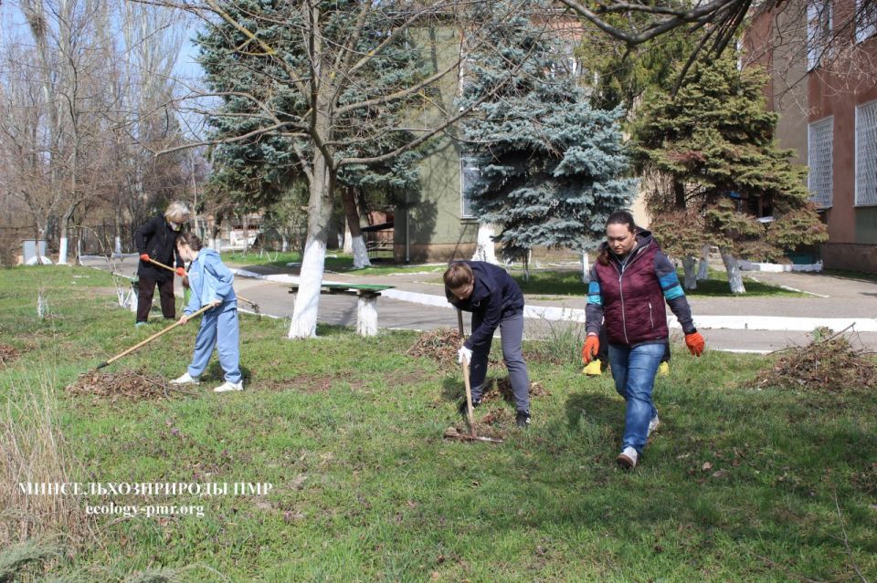 ���������� ������������ ������� � ���������� ���������� ��������� ����������, ����������� � �������������� ������