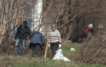 ������ �������� � ������ ����