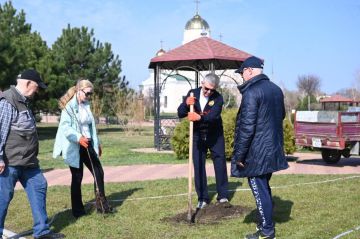 Президент Вадим Красносельский и его супруга Светлана Сергеевна на субботнике посадили дубы в сквере у воскресной школы в Александро-Невском парке в Бендерах