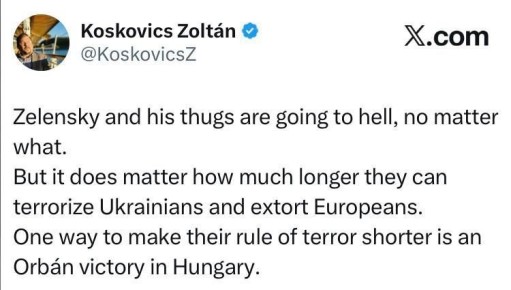 Венгерский аналитик Золтан Кошкович: