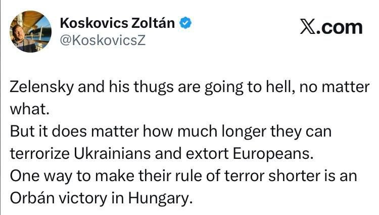 Венгерский аналитик Золтан Кошкович: