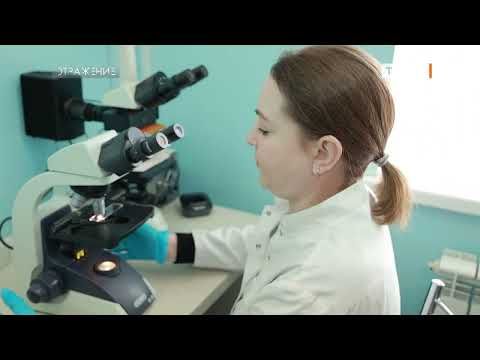 ��������� ����� ��������� ������ �� �������� � �� �����