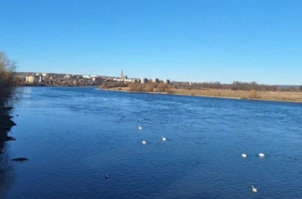 Ядовитый улов: почему рыба из Днестра стала опасной