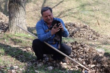 � ���������� ����� ������ �� ����� ����������