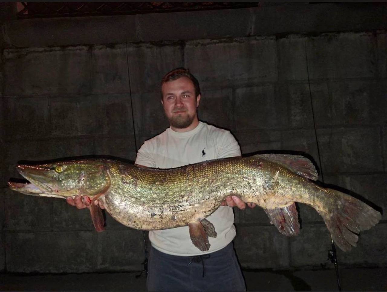 У «Москва-Сити» поймали щуку весом 9 кг