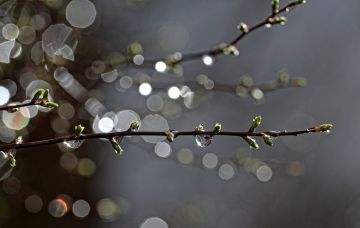 � ������������� ������� ����������